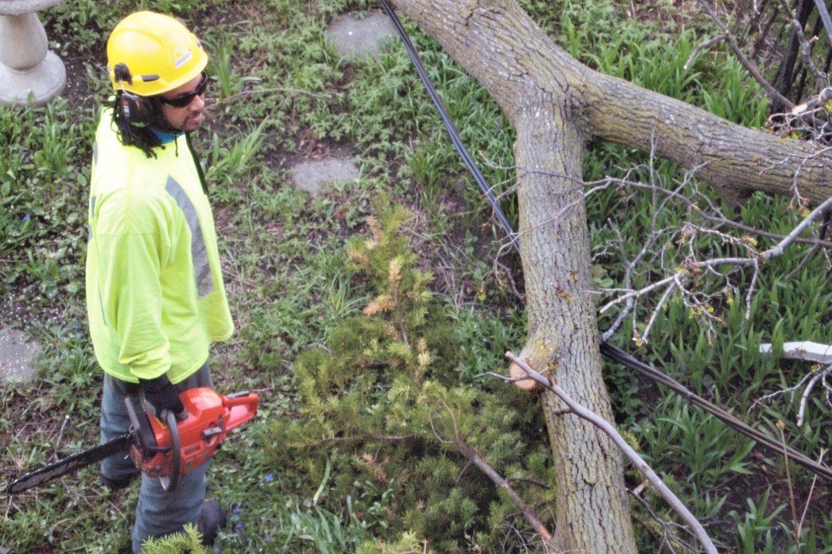 Worker assessing the approach, wire under limb.
