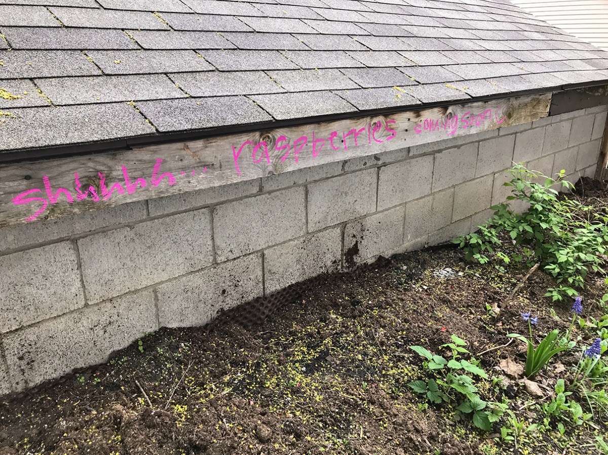 Chalk sign for raspberry patch.