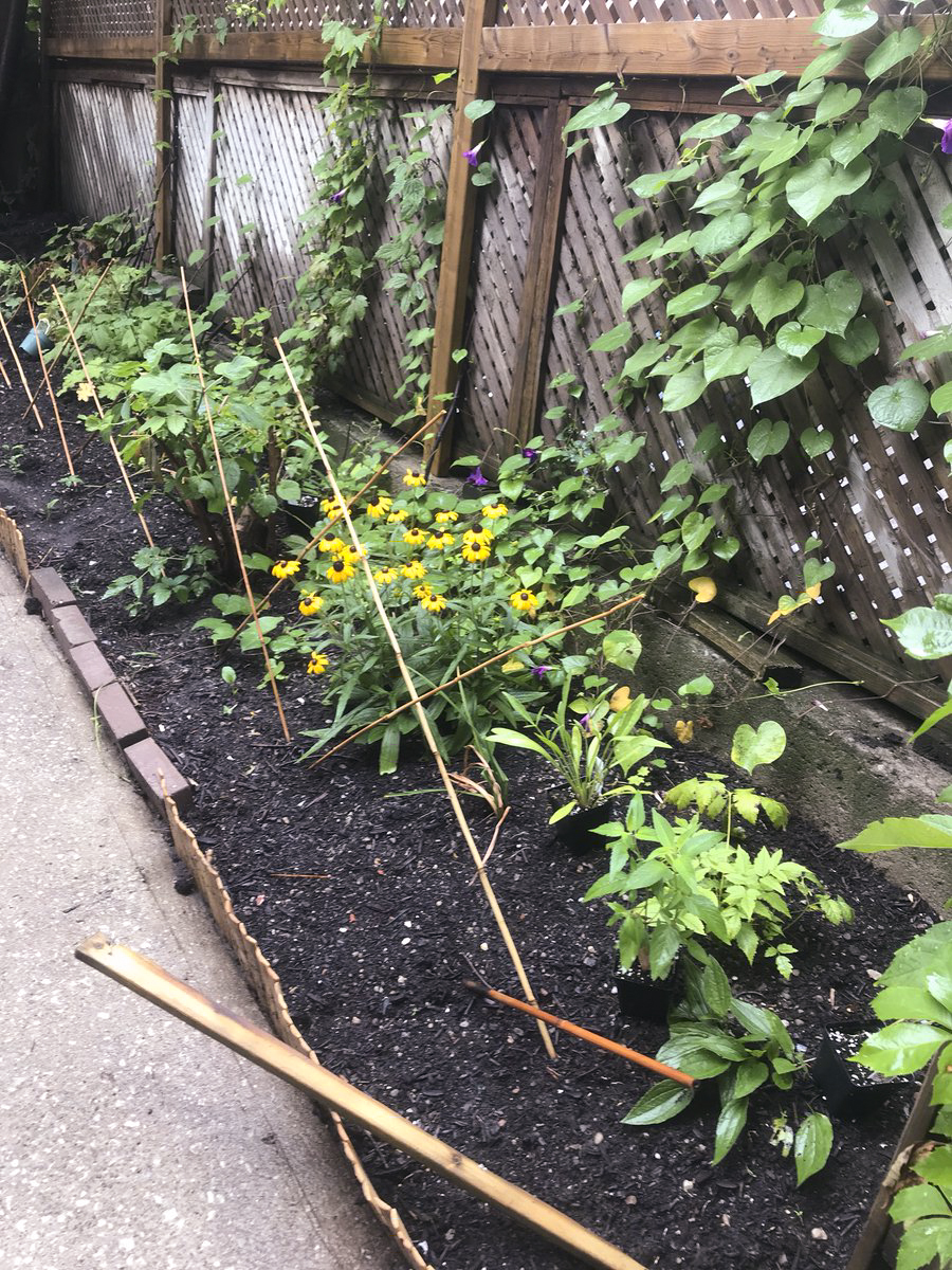 Flower border with vines and bamboo stakes.